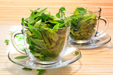 cup with leaves