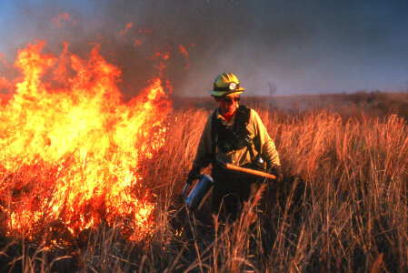 Prescribed burn at Texas refuge photo