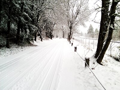 Weather frozen tire tracks photo