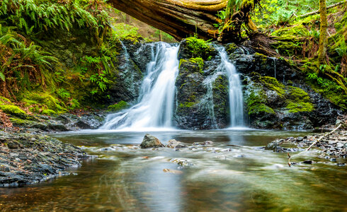 Beautiful Small Waterfall Landscape in Moran State Park photo