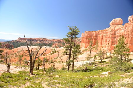 Sun is shining in the early morning. Bryce Canyon National Park