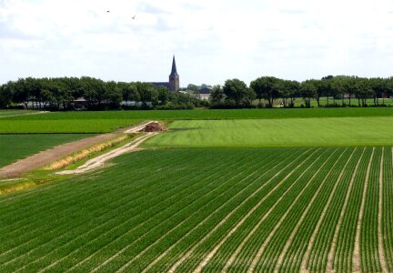 Crops farm rural