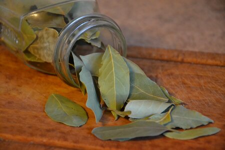 Kitchen spices plant photo