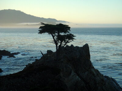 17-Mile Drive is a scenic road through Pebble Beach photo