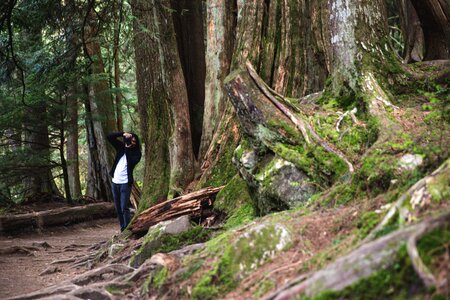 Taking Forest Pictures photo