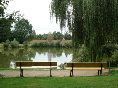 Lake garden bench park bench