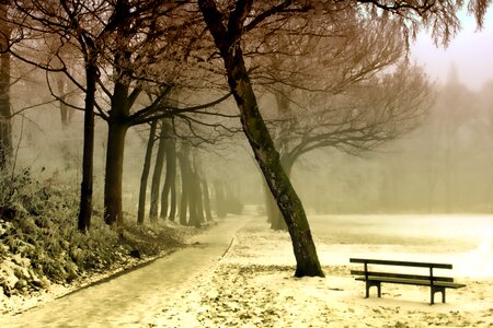 Cold Tranquility photo