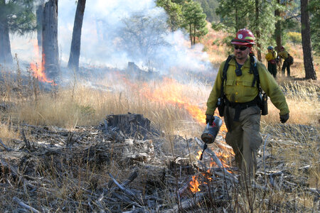 Firefighter uses driptorch to apply fire during prescribed burn. photo