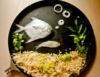 Food Art Fish photo