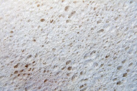 Texture bath sponge artificial photo