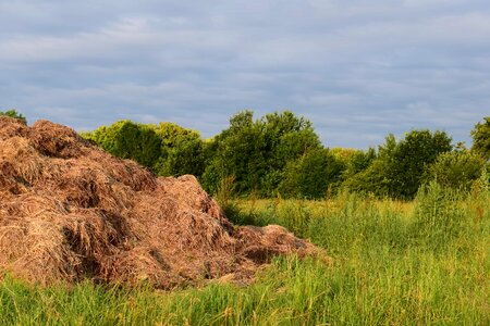 Daylight environment field