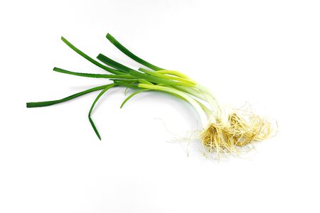 Antibacterial antioxidant aroma