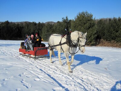 Winter sled cold photo