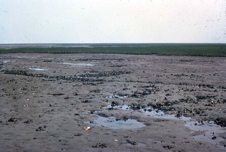 Apartment mud flat 