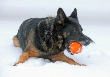 Snow ice germany photo