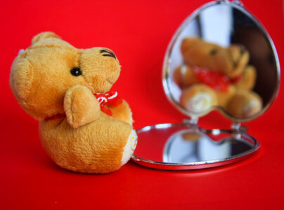 Teddy Bear Mirror Small