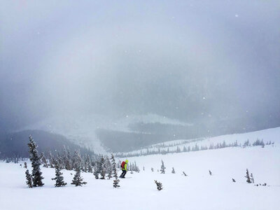 One freeride skier charging downhill photo