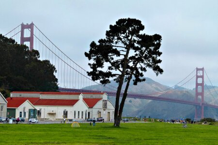 Usa buildings golden gate bridge