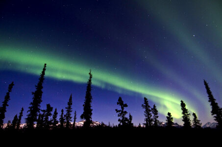Aurora Borealis in Denali National Park, Alaska photo