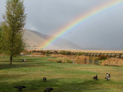 Refuge rainbow photo