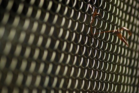 Plant wire border