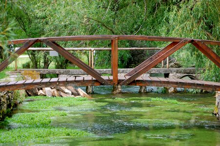 Scenic green trees photo