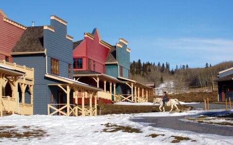 Horses western style building