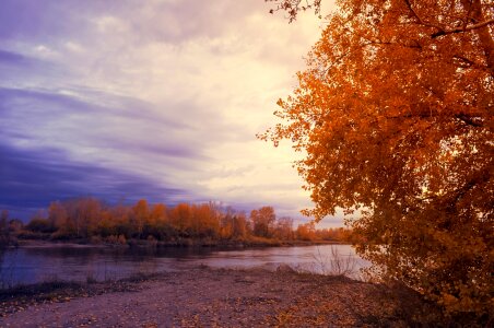 Rain bright landscape