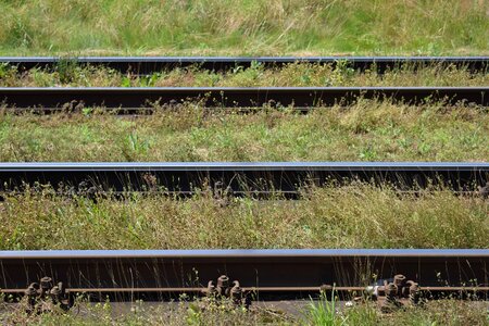 Fast grass outdoor