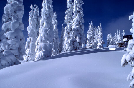 Winter Mountains Landscape photo