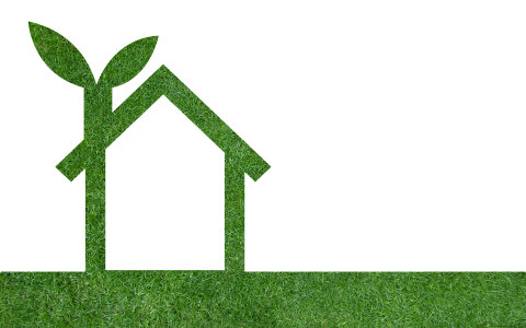 Grass home icon from grass background, isolated on white