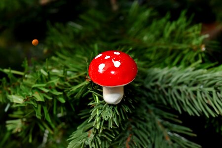 Decorative detail christmas