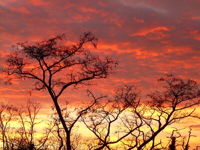 Abendstimmung sun romance