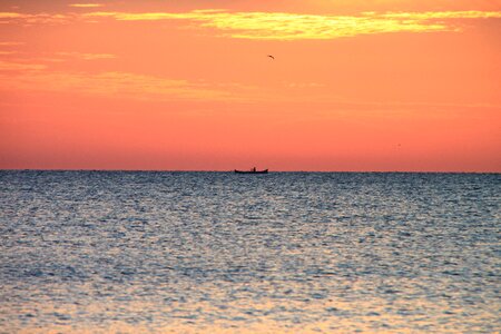 Fishing red sea