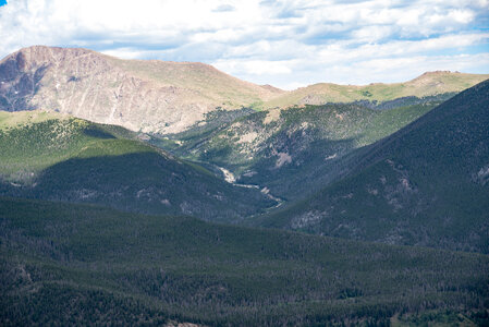 Forest in the shadow of the mountain photo