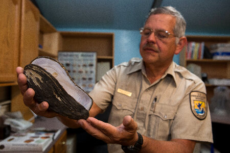 FWS biologist holds a purple bankclimber freshwater mussel-3