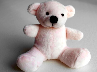 Cute pinkish teddy bear toy photo