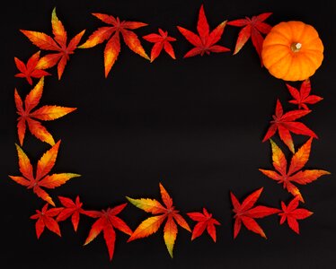 Frame color decoration