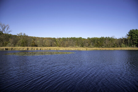 Landscape view across small lake