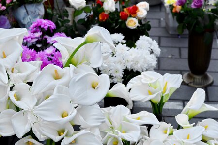 Flowers decoration arrangement photo