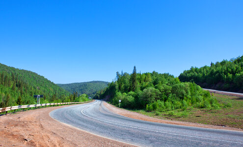 Road in forest photo