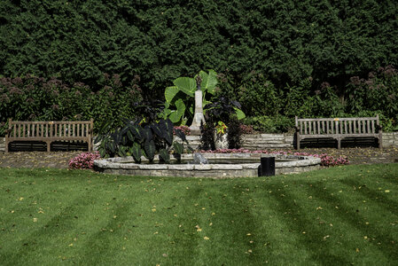 Lawn, plants, pond, and landscape
