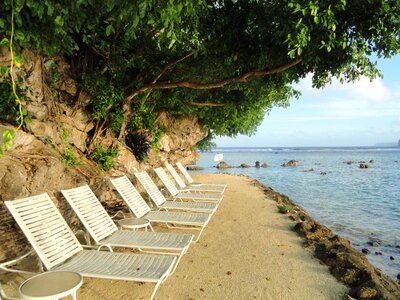 Ocean water trees photo