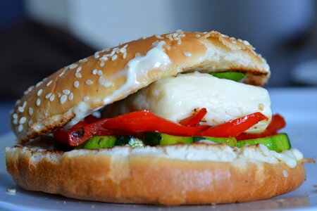 Halumi burger fast food