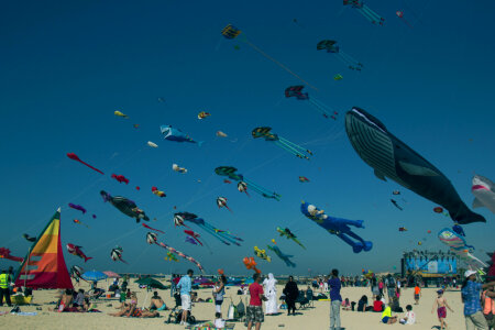 12 Dubai kite fest photo