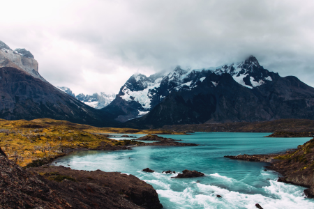 Cold grass landscape