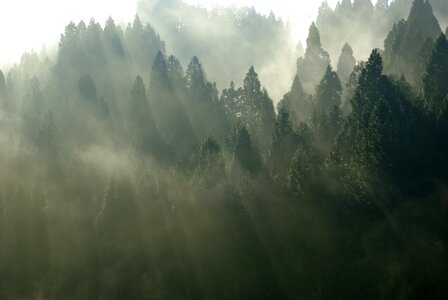 I to Free photos