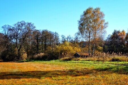 Landscape mood autumn colours photo