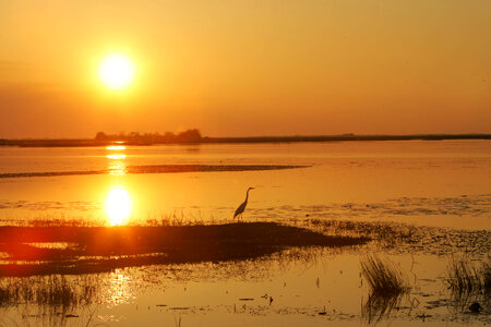 Sunset over Lacassine National Wildlife Refuge photo