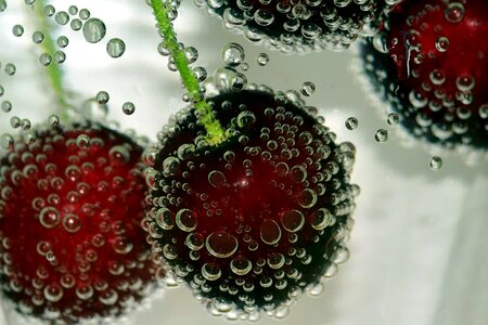 Beautiful Photo bubble cherry photo